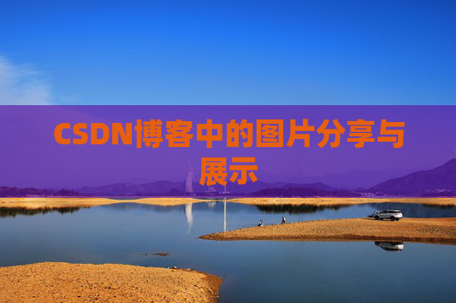 CSDN博客中的图片分享与展示